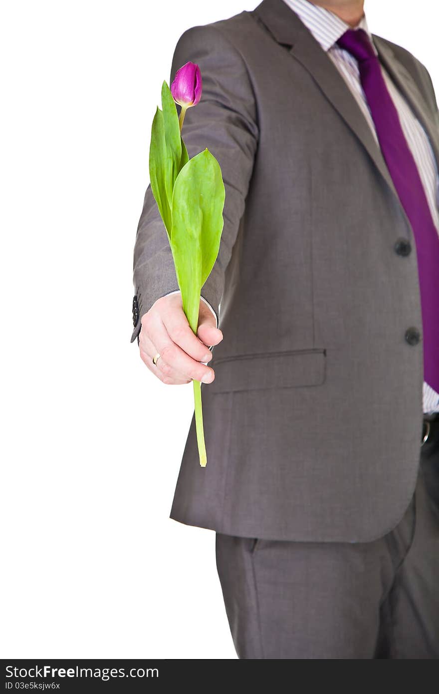 Man in suit and tie holding tulip flower isolated on white