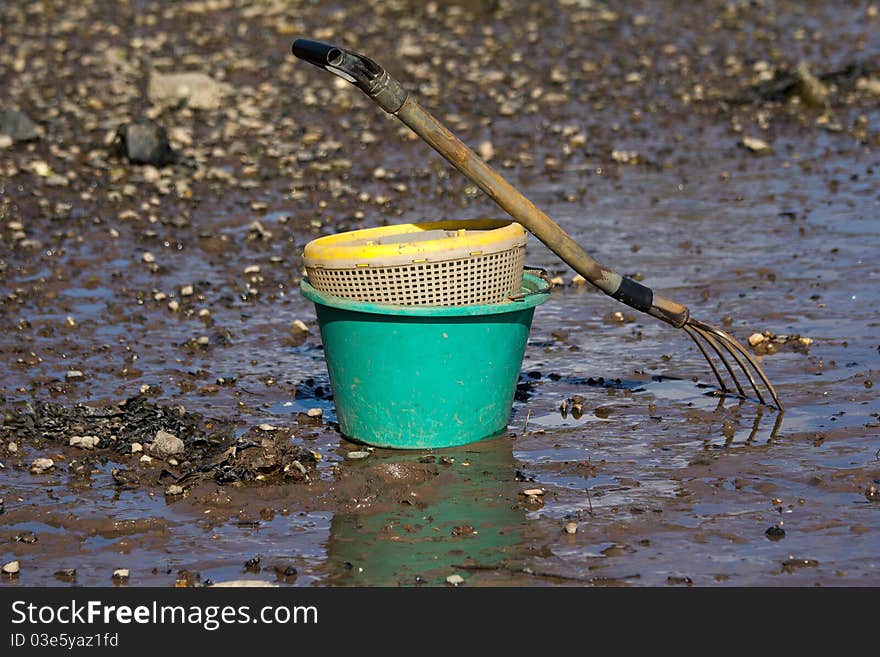 Shell fishing bucket, from a riverside in England.