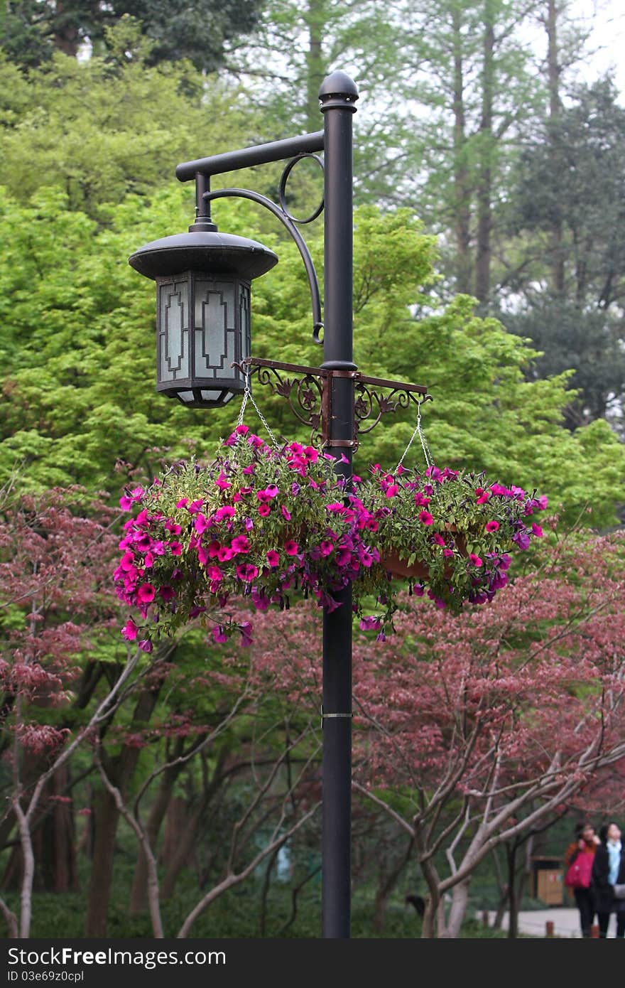 China Hangzhou West Lake park, a street, above the hanging flower pots, flowers in full bloom. China Hangzhou West Lake park, a street, above the hanging flower pots, flowers in full bloom.