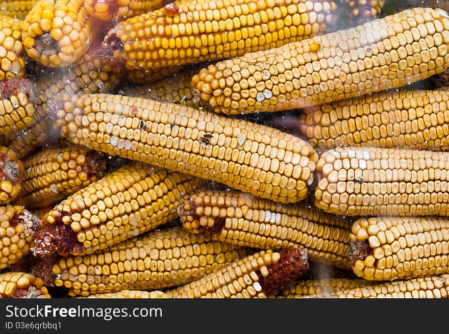 Dry corn texture behind glass