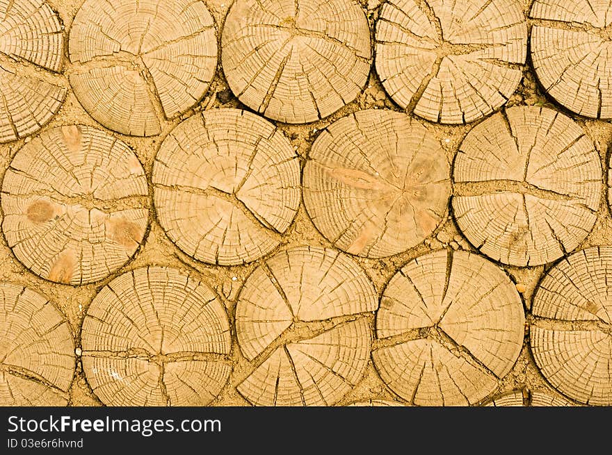 Wooden logs texture