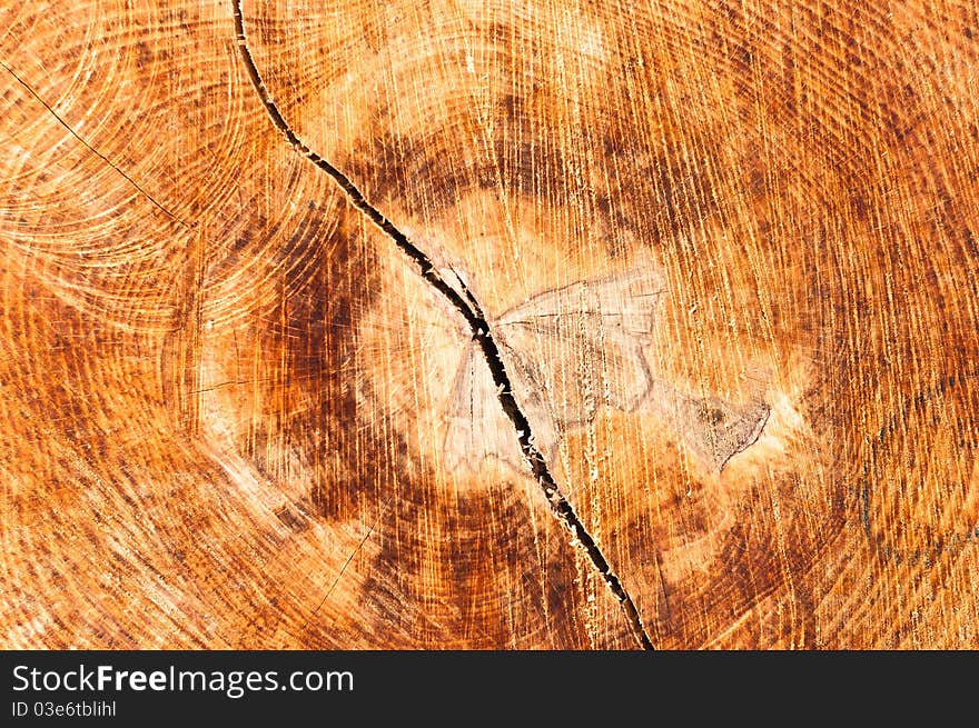 Wood texture with crack