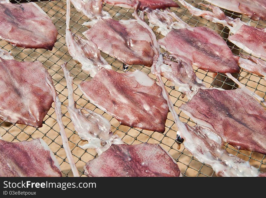 ้the Dried squid in thailand