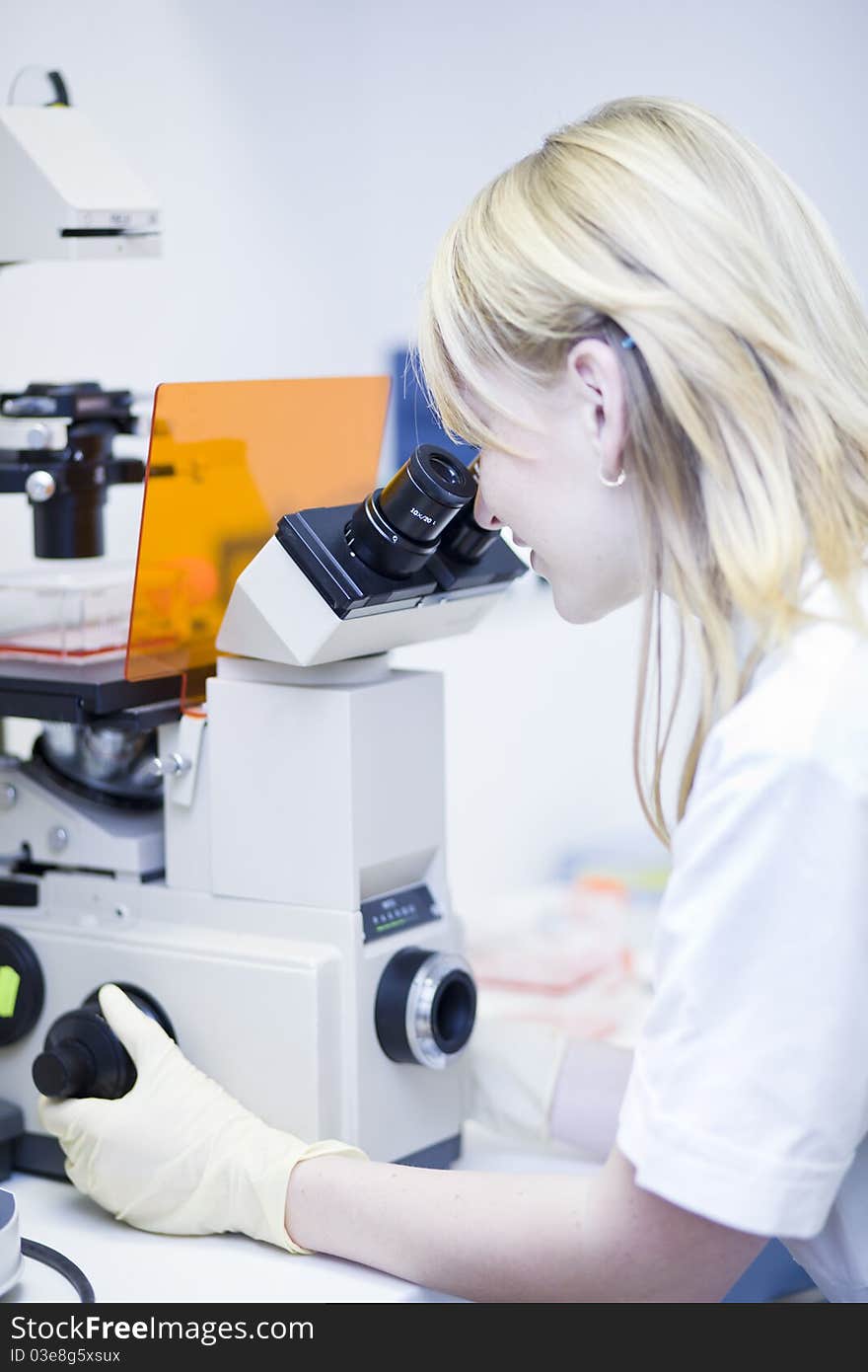 Portrait of a female researcher doing research in a lab (color toned image; shallow DOF). Portrait of a female researcher doing research in a lab (color toned image; shallow DOF)