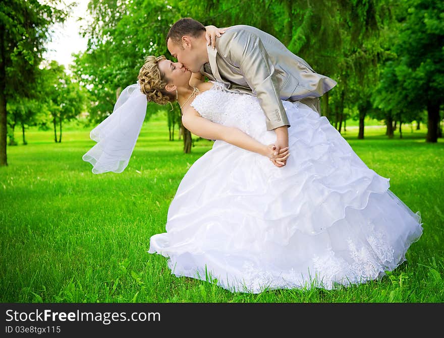 Outdoor day shot bride and groom kises in the green park. Outdoor day shot bride and groom kises in the green park