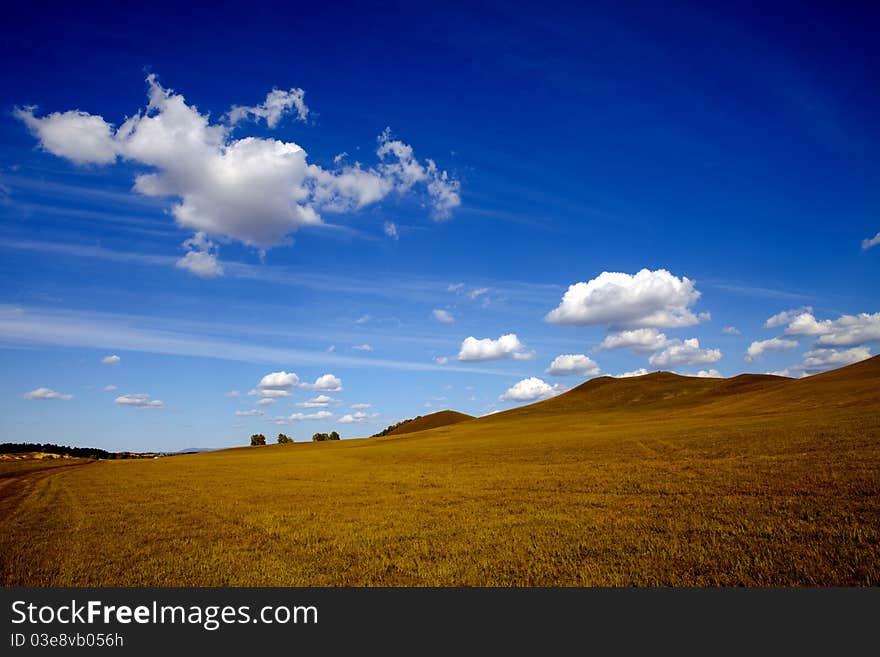 Meadow meets sky in Bashang