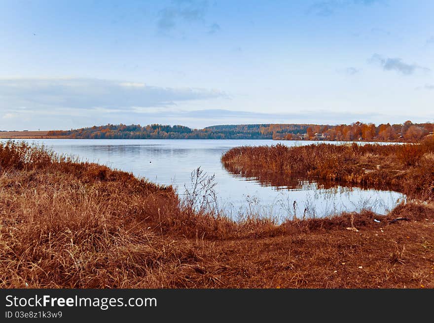 Creek of the big lake. Coast, a grass, wood on opposite coast