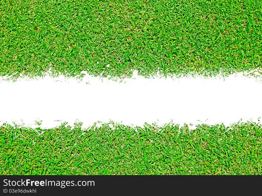 Texture of green grass with white scratch space