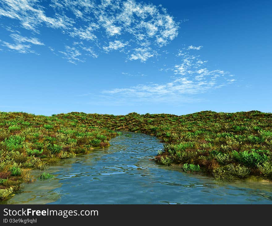 Creek in summer