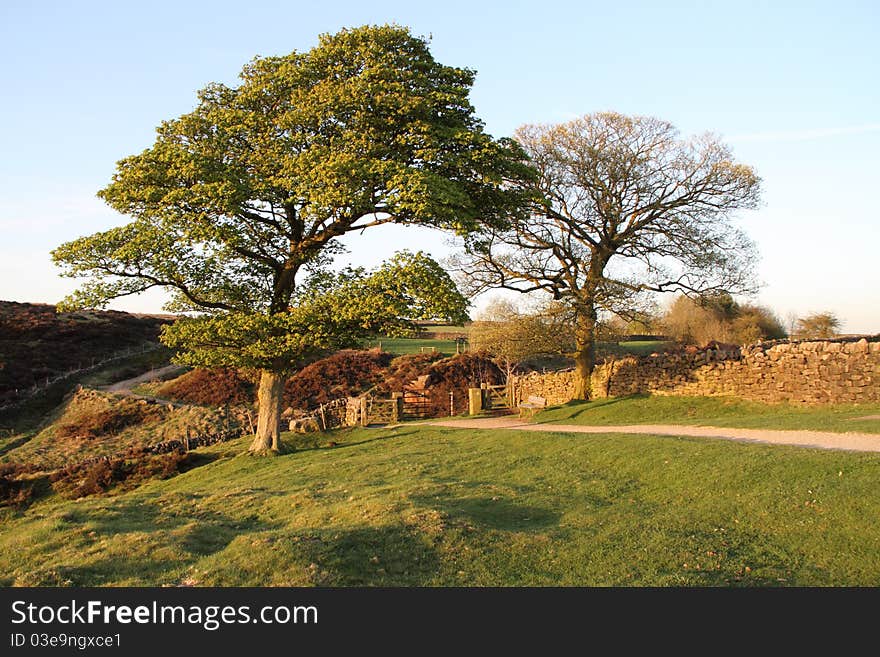 Idyllic countryside scene in the Derbyshire Peak District. Idyllic countryside scene in the Derbyshire Peak District