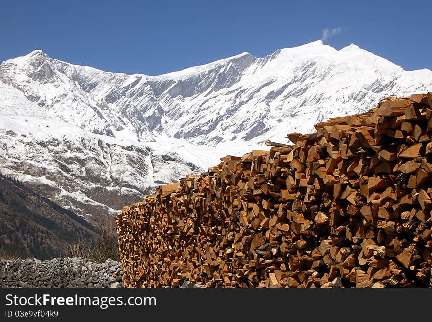 Wood in the himalayas mountains