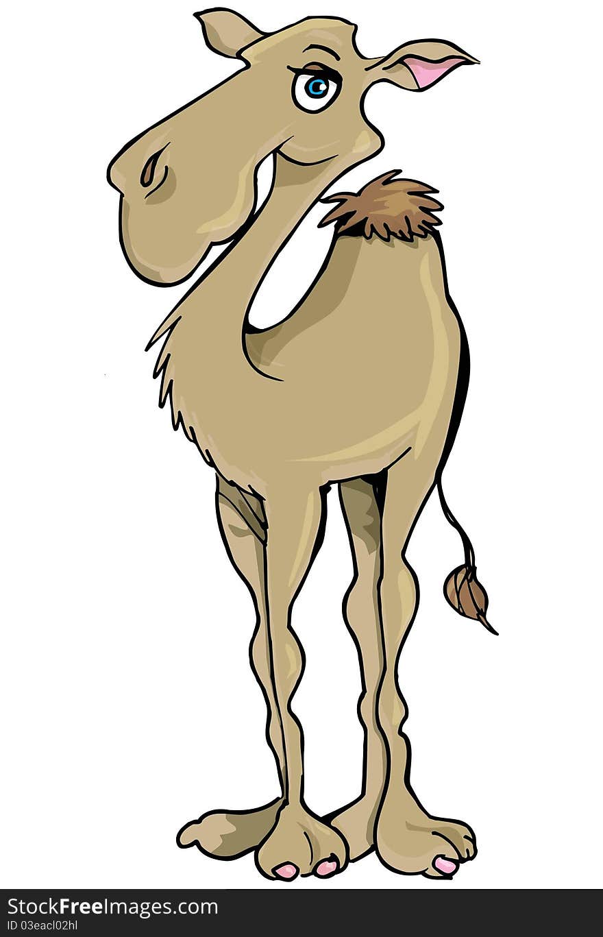 Cartoon Camel