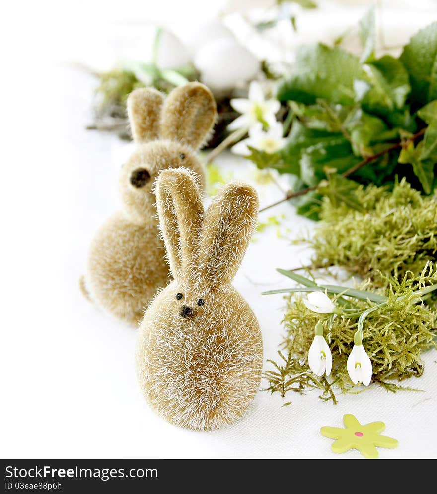 Two easter rabbits on white background