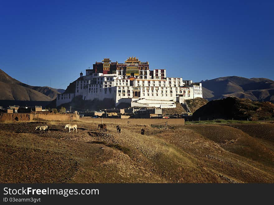This is a common Buddhist temples of China Qinghai-Tibet Plateau .