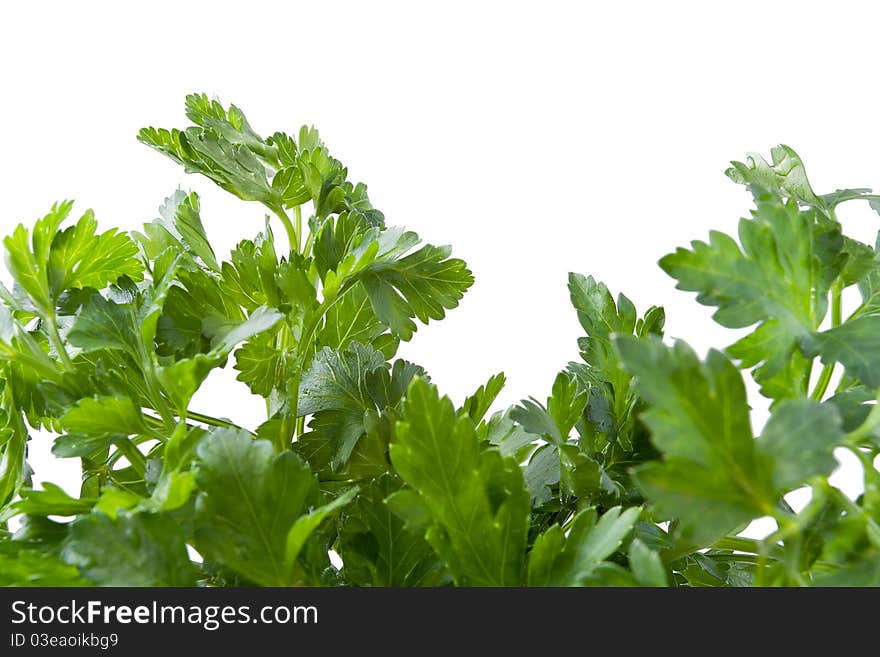 Parsley