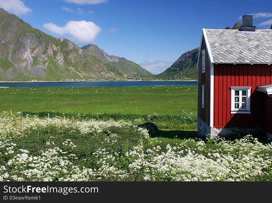 Red wooden house on green meadow