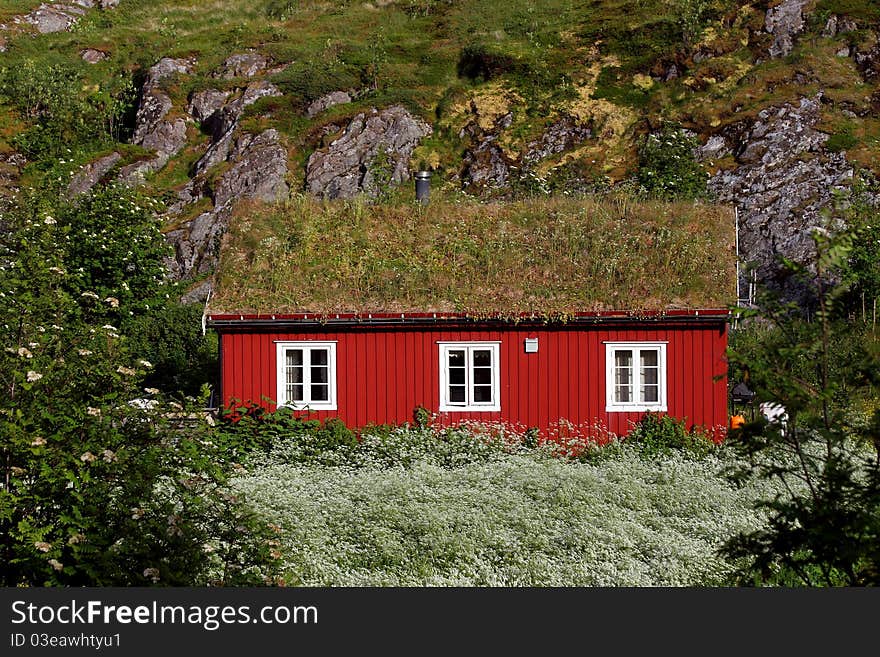 The red wooden house with grass roof