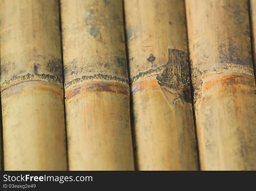 Texture of bamboo can be used for background