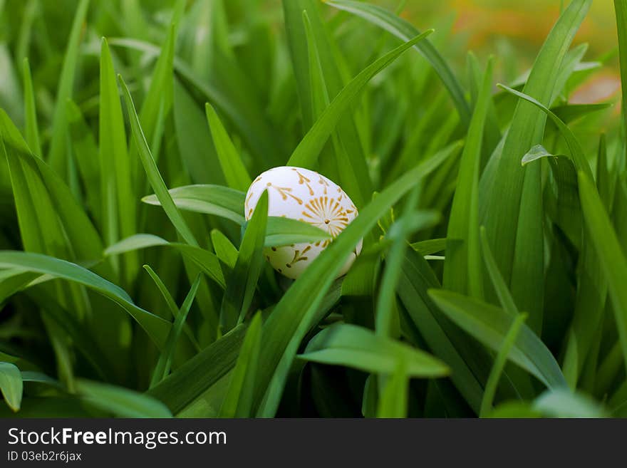 Eastern egg on the green grass