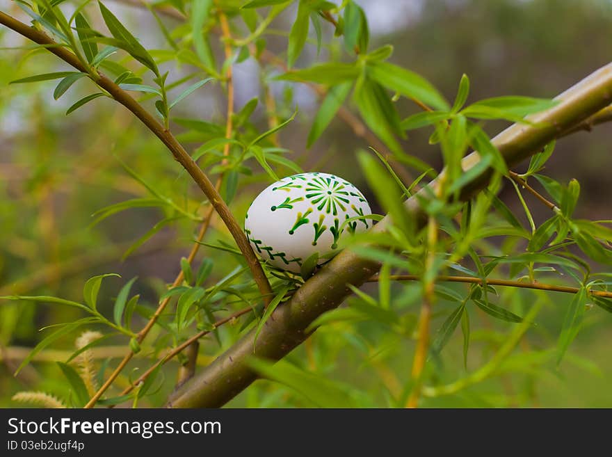 Eastern egg on the fresh twig