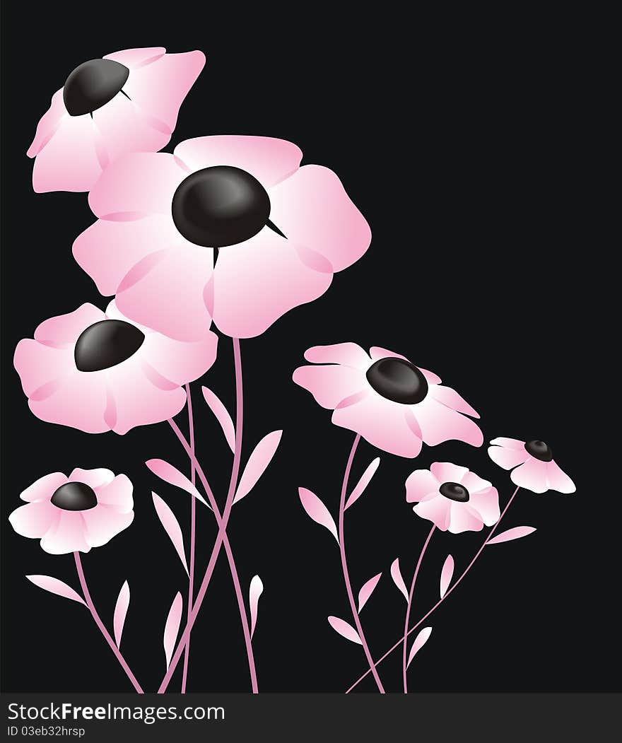 Abstract pink flower on black background