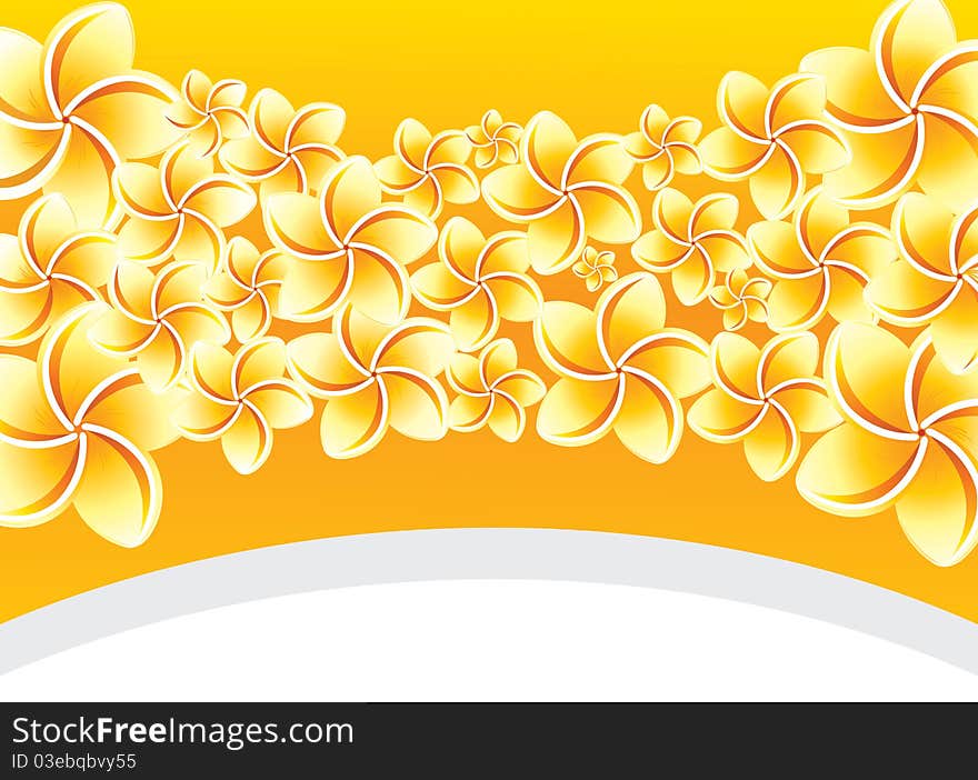 Floral background with frangipani.