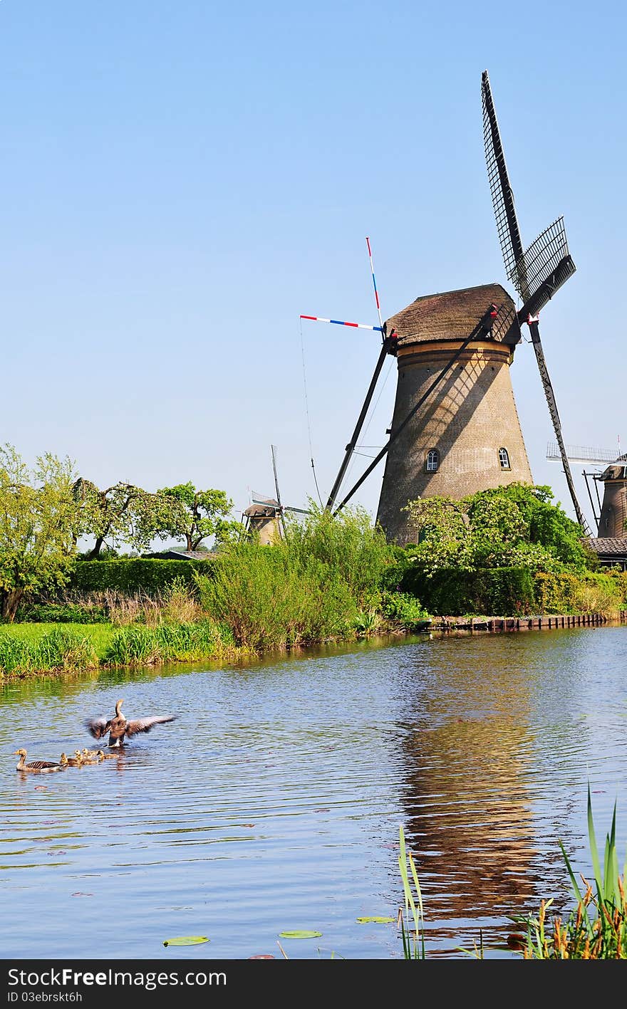 Holland. Vertical Panorama of canals and water mills