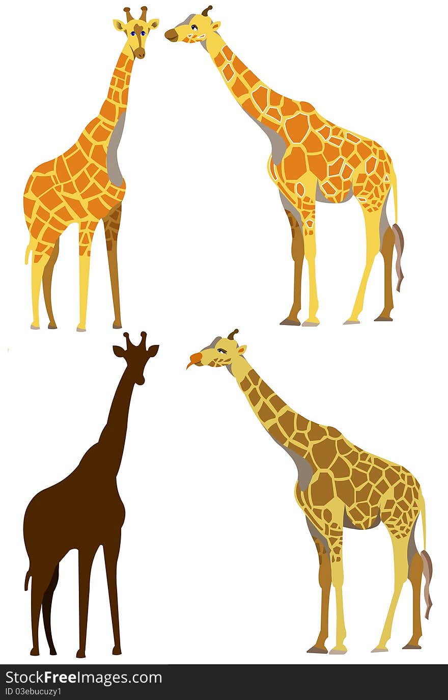 Illustration of four different giraffes. Illustration of four different giraffes.