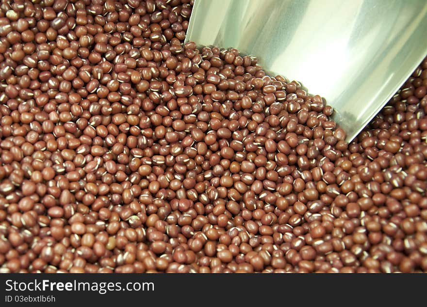 Mung bean ormosia