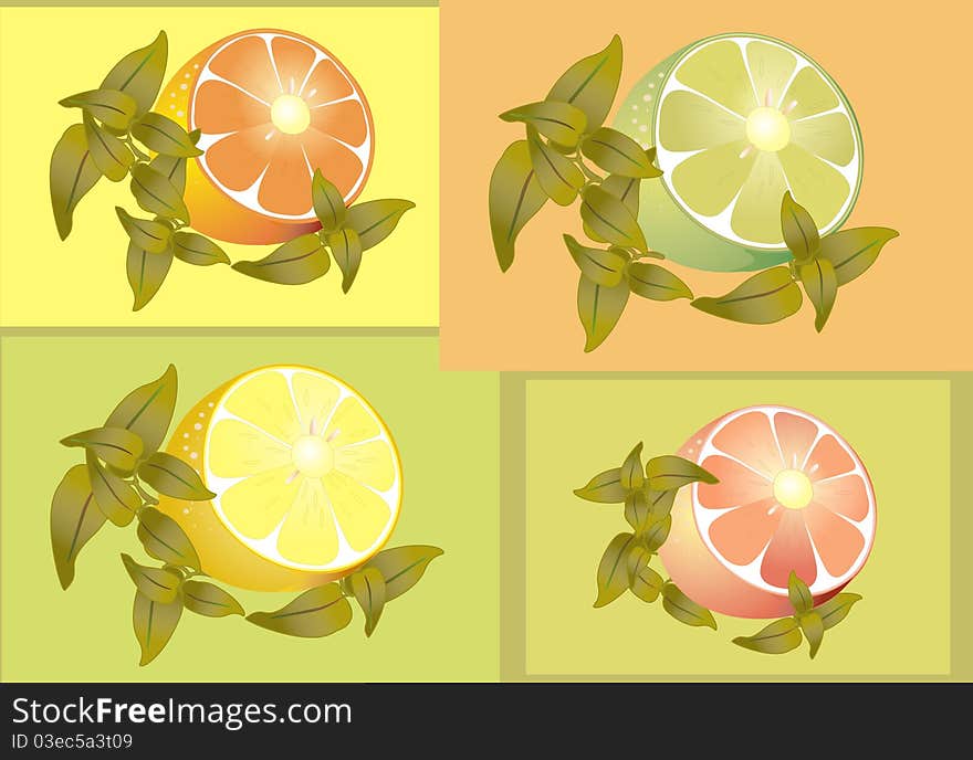 Citrus fruits.