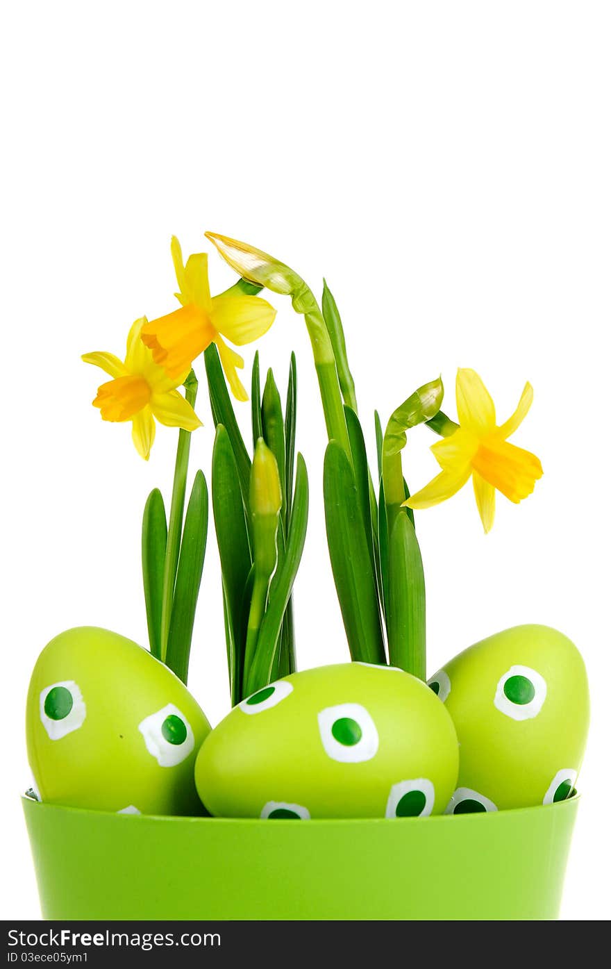 Painted easter egg and yellow daffodil on the white background.