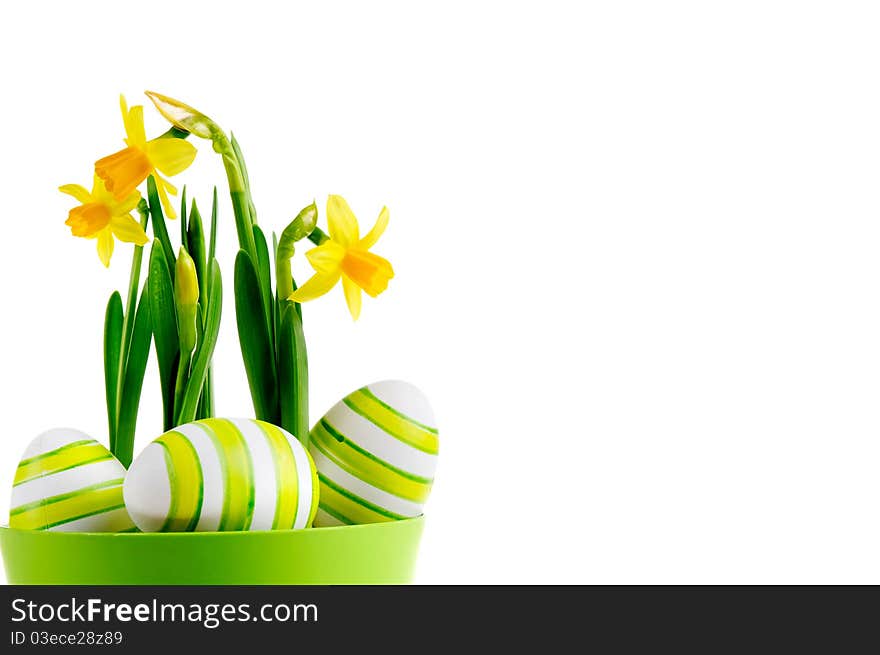 Painted easter egg and yellow daffodil on the white background.