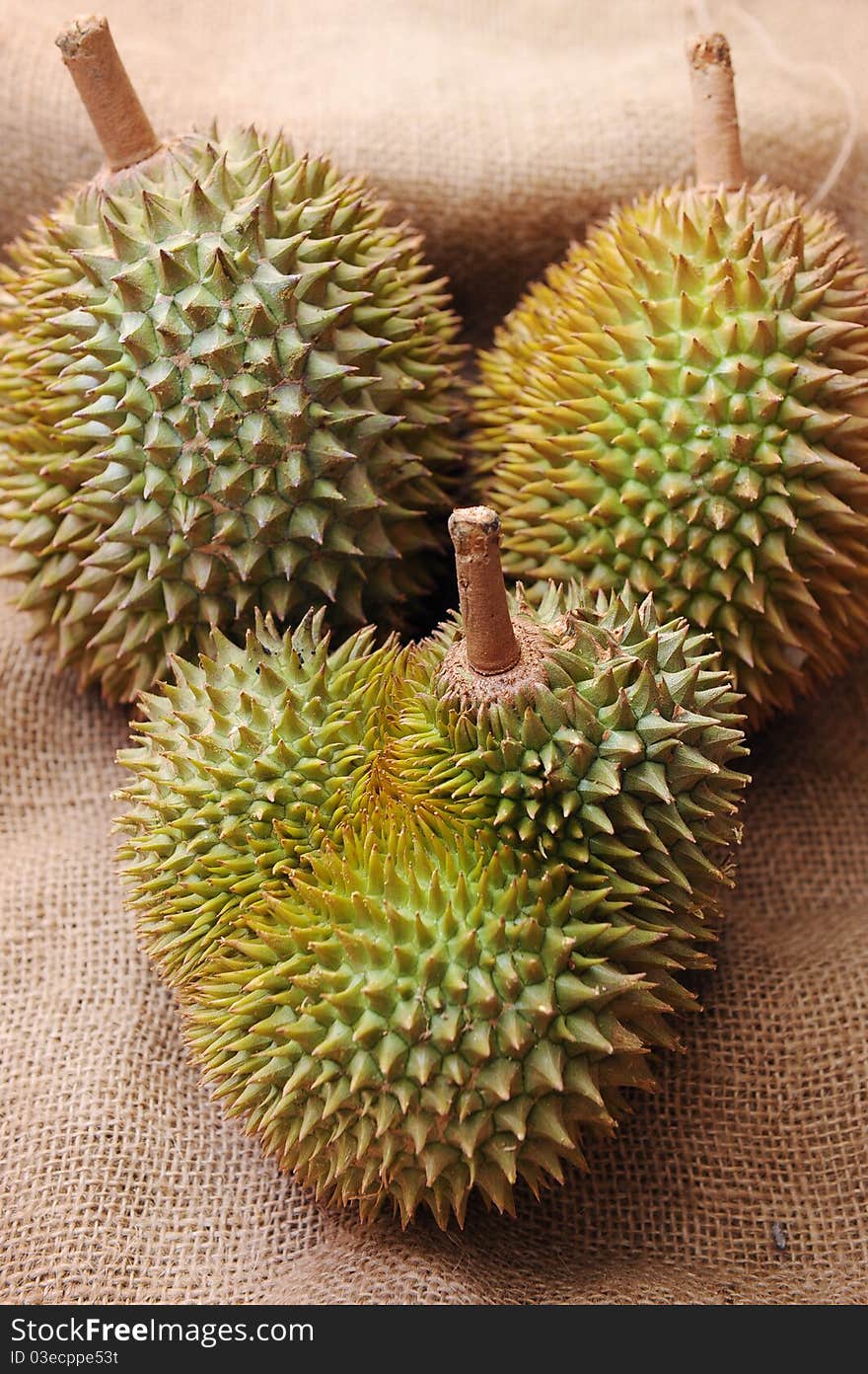 Tropical Durian fruit