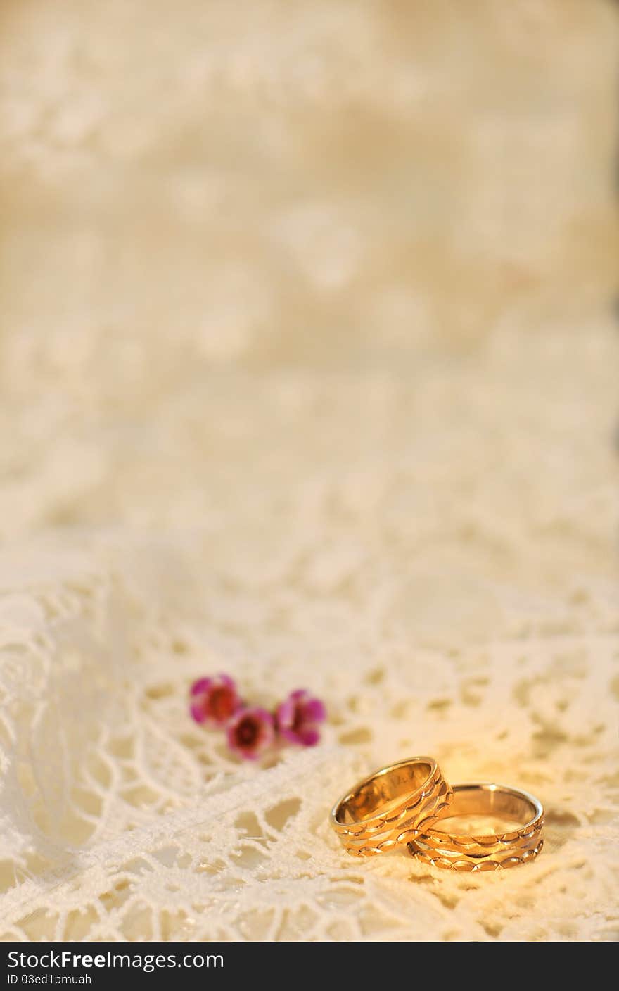 Golden wedding bands on white lace background with pink accents. Golden wedding bands on white lace background with pink accents