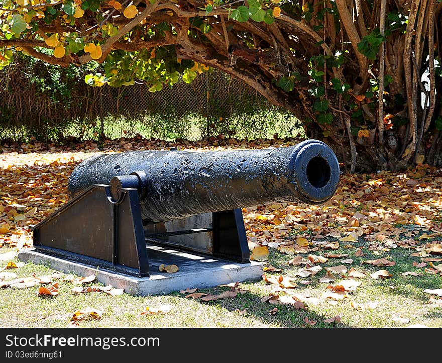 Closeup Of An Iron Civil War Era Cannon With tree And Leaves. Closeup Of An Iron Civil War Era Cannon With tree And Leaves