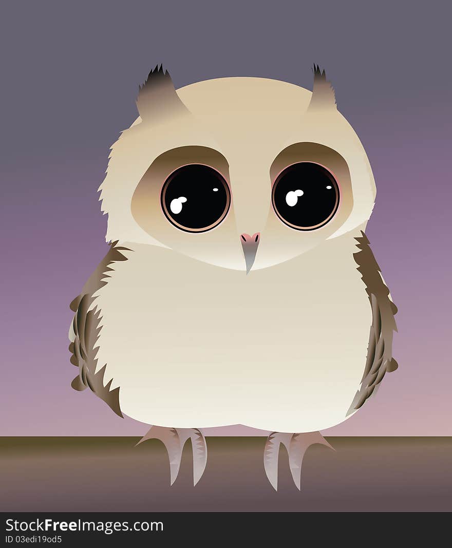 Cute Baby Owl