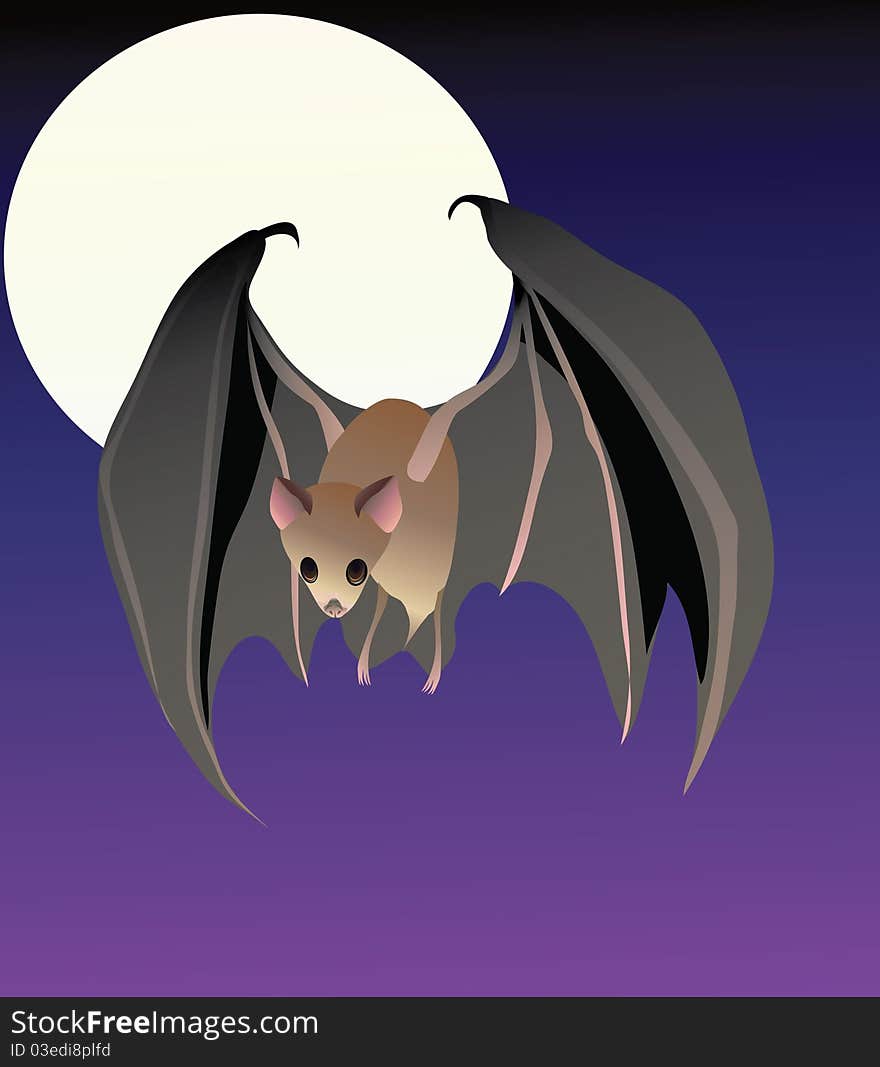 A Cute Lesser Long-Nosed Bat In Flight