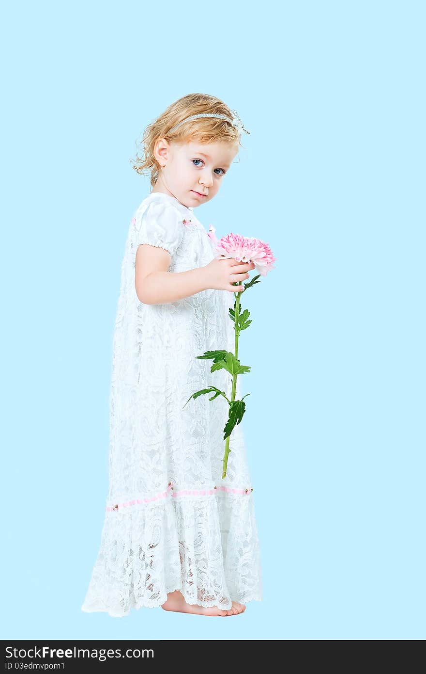 Portrait of pretty girl wearing traditional laced dress for first communion isolated on blue background. Portrait of pretty girl wearing traditional laced dress for first communion isolated on blue background