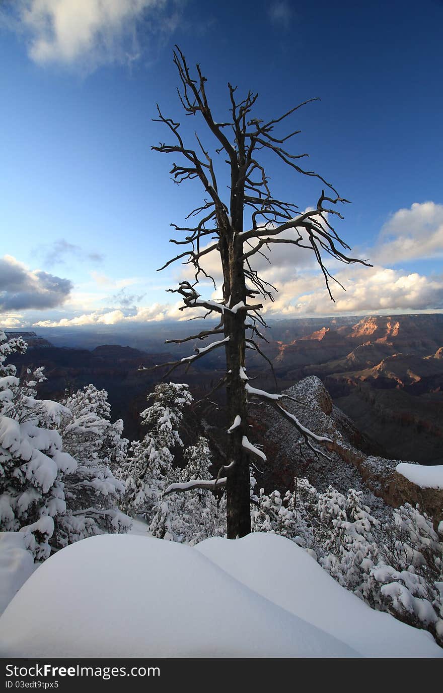 Grand Canyon in snow