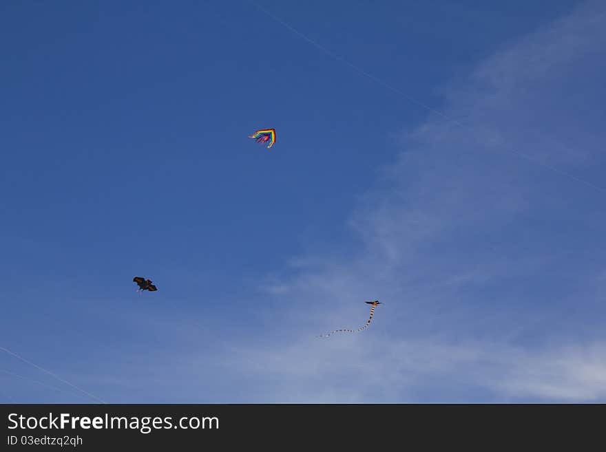 Kites