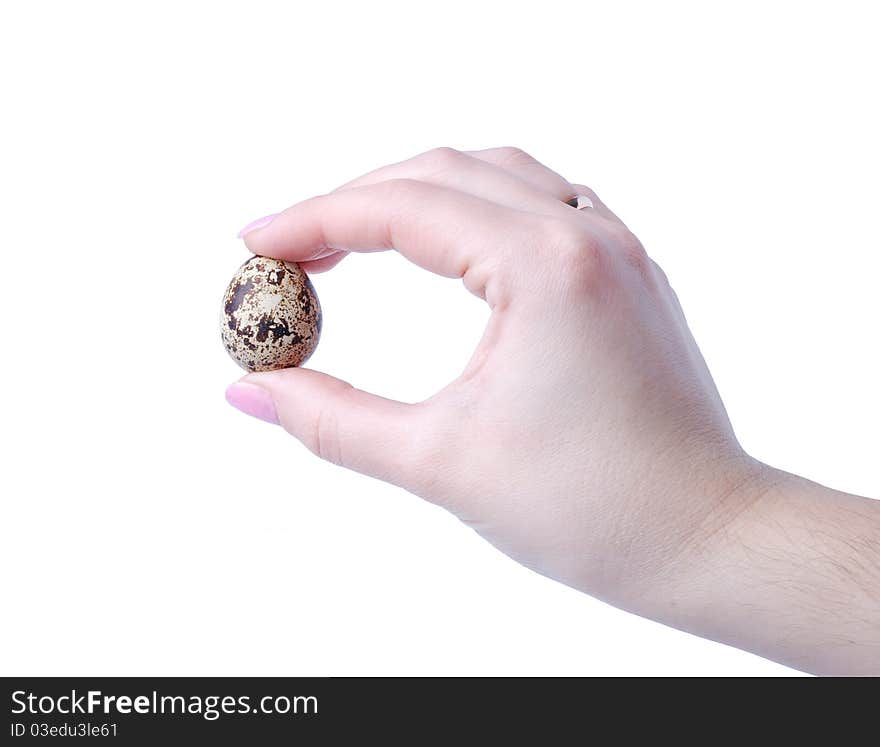 Egg in a hand, isolated in white. Egg in a hand, isolated in white