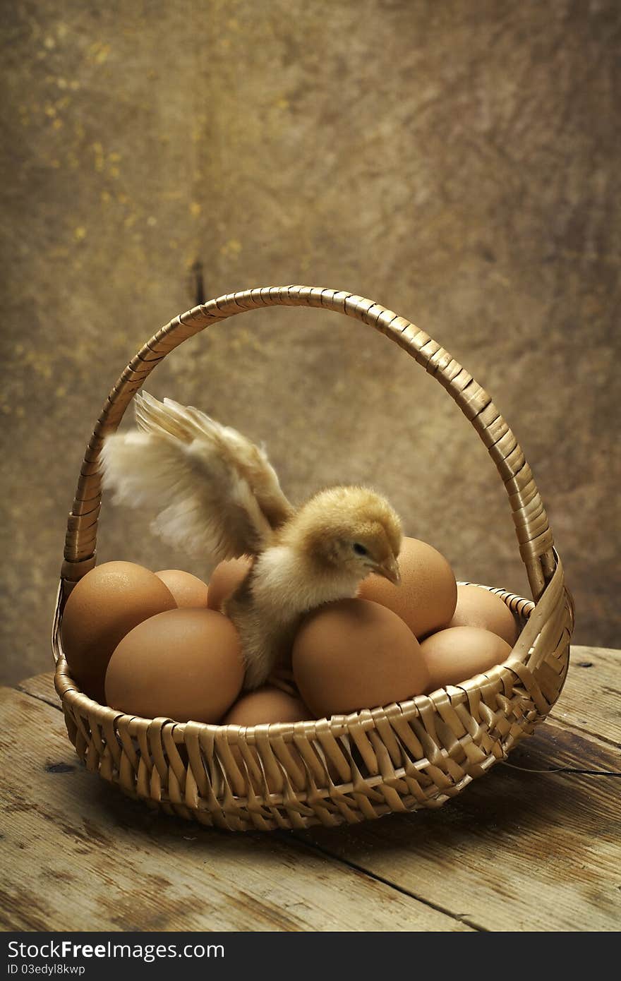 Young chicken triee to fly in a basket with eggs. Young chicken triee to fly in a basket with eggs