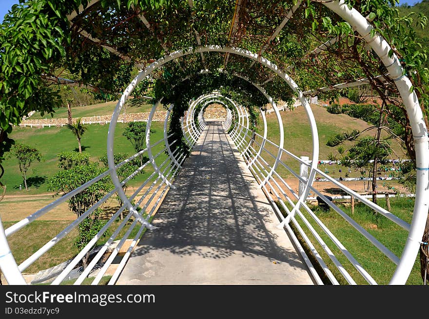 Grotto tree in ratchaburi thailand