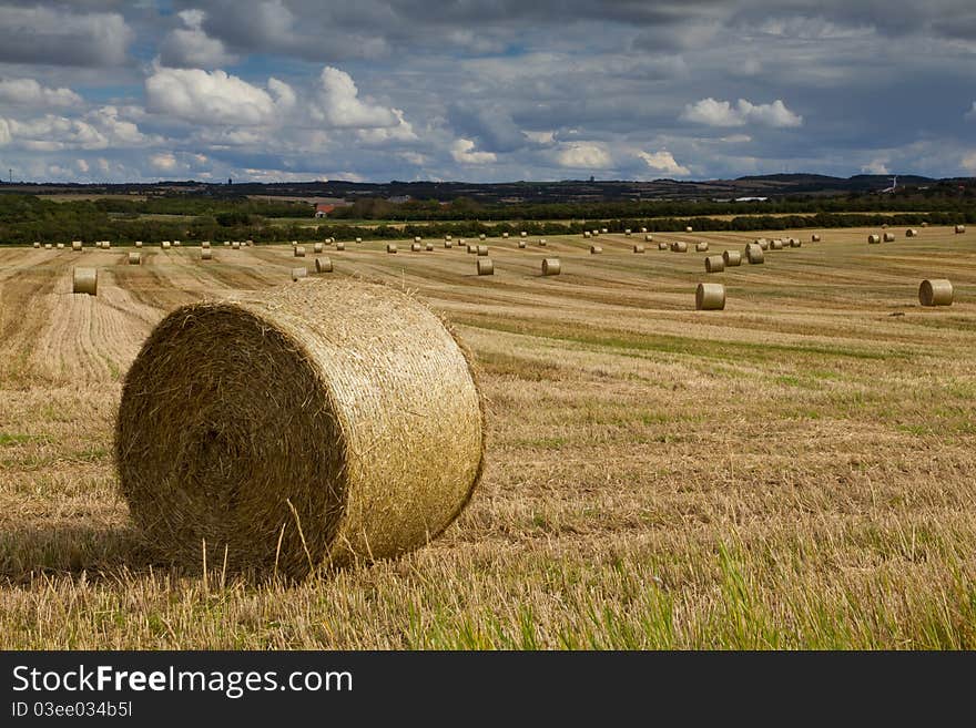 Bale of straw on a field