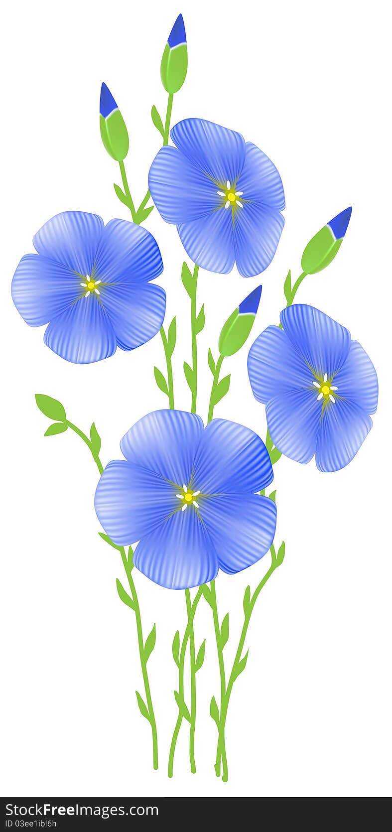 Flower of flax (Linum usitatissimum)