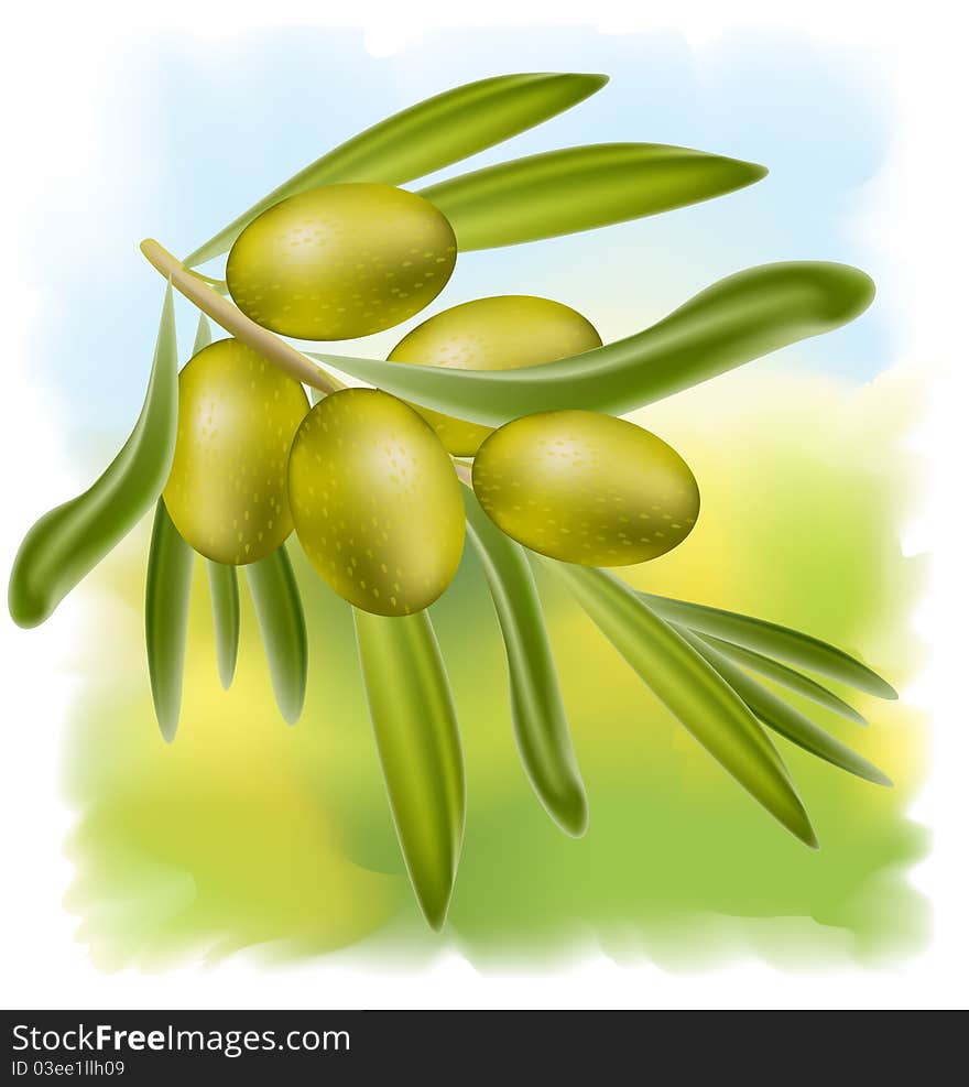 A branch of green olives.