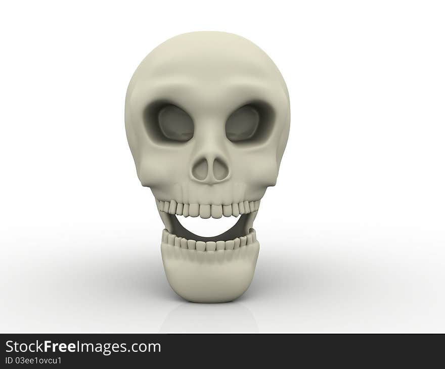 3D Human Skull a white background