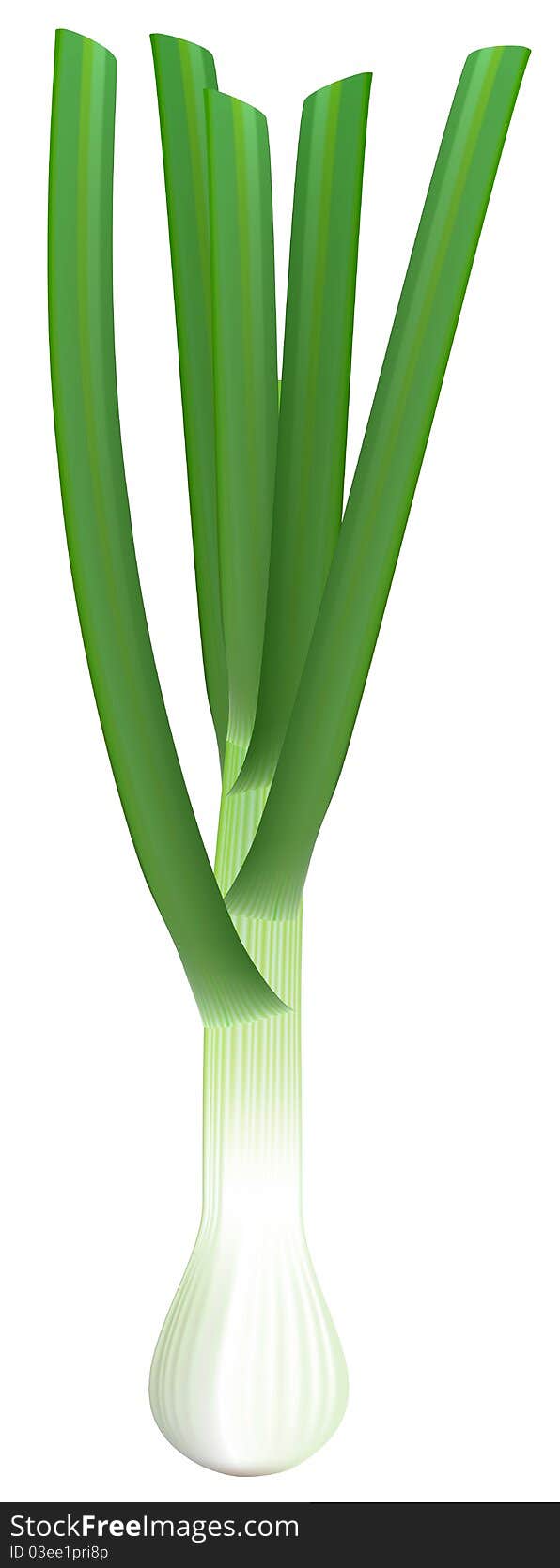 Fresh green onions on white background.