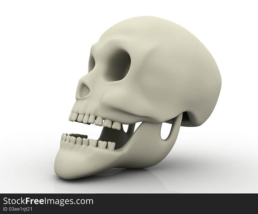 3D Human Skull a white background