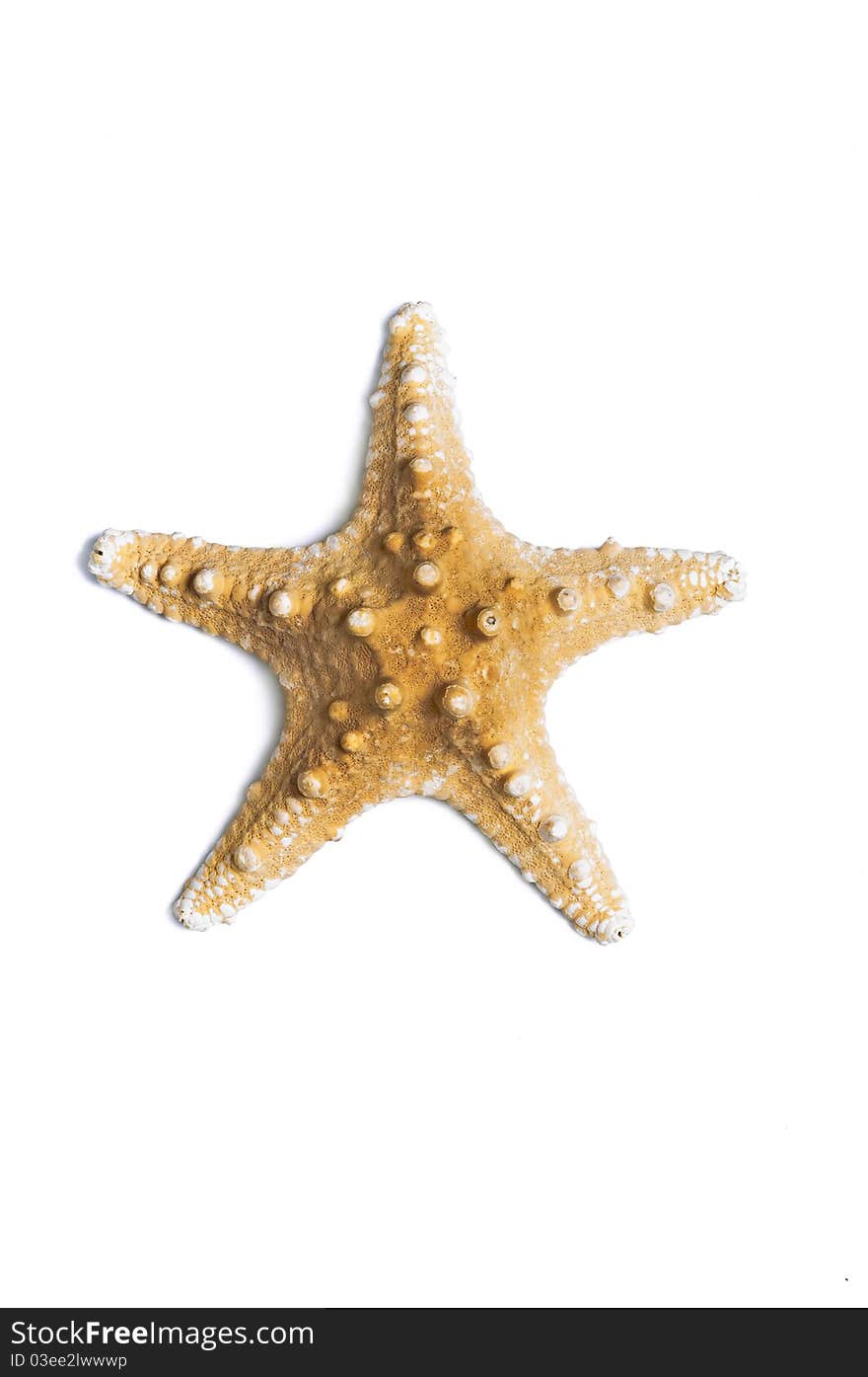 Seastar